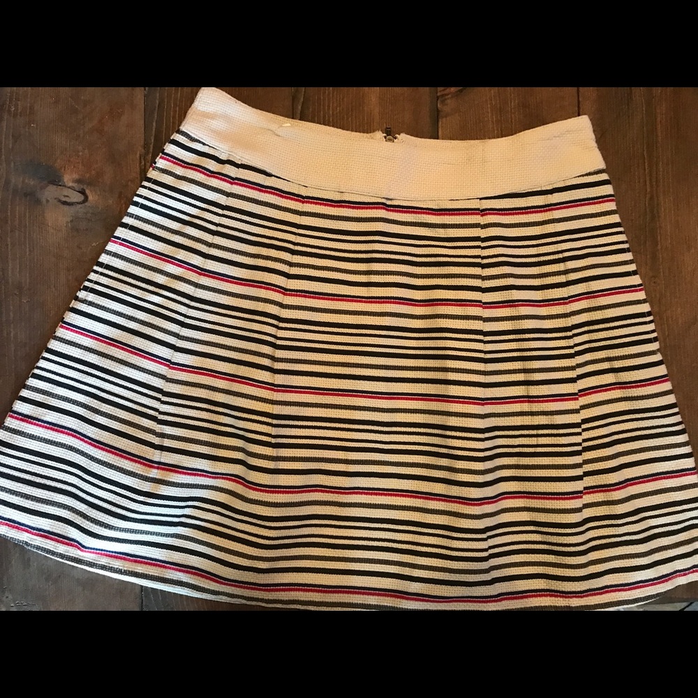 Tulle Skirt
